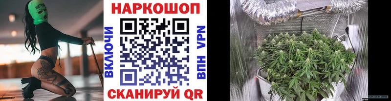 Как найти наркотики Володарск Марихуана  A-PVP  ГАШ  Мефедрон  Cocaine 