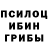 Галлюциногенные грибы Psilocybine cubensis hopeN