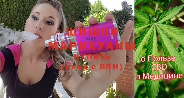 молекула духа Белоозёрский