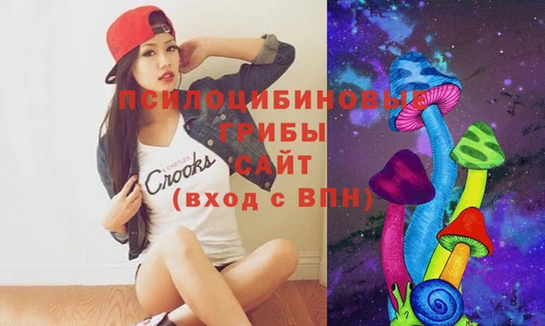 молекула духа Белоозёрский